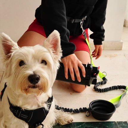 Collection image for: Combos