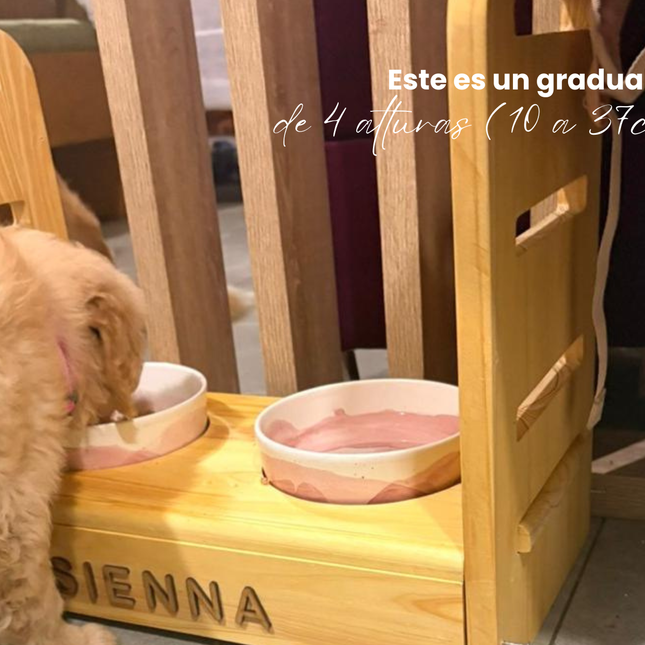 Graduable Gaia (Solo cachorros)