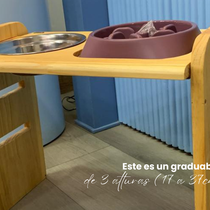 Graduable Shamel (Solo cachorros)