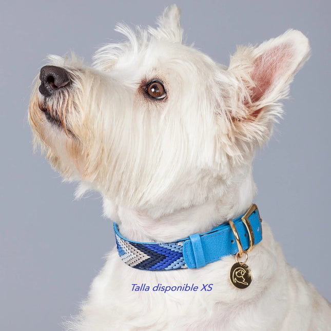 Collar Polar Light Azul
