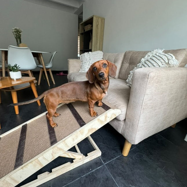 Rampa Antideslizante