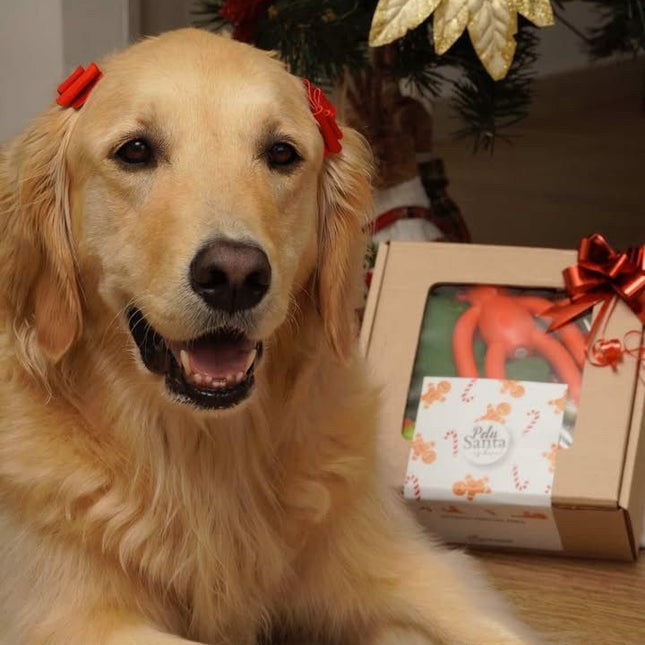 Gift Box Pequeño Perruno