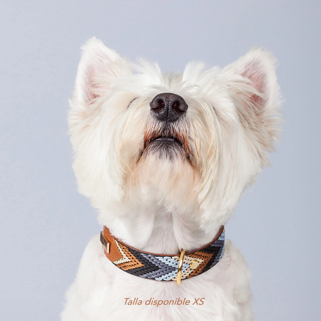 Collar Stellar Café