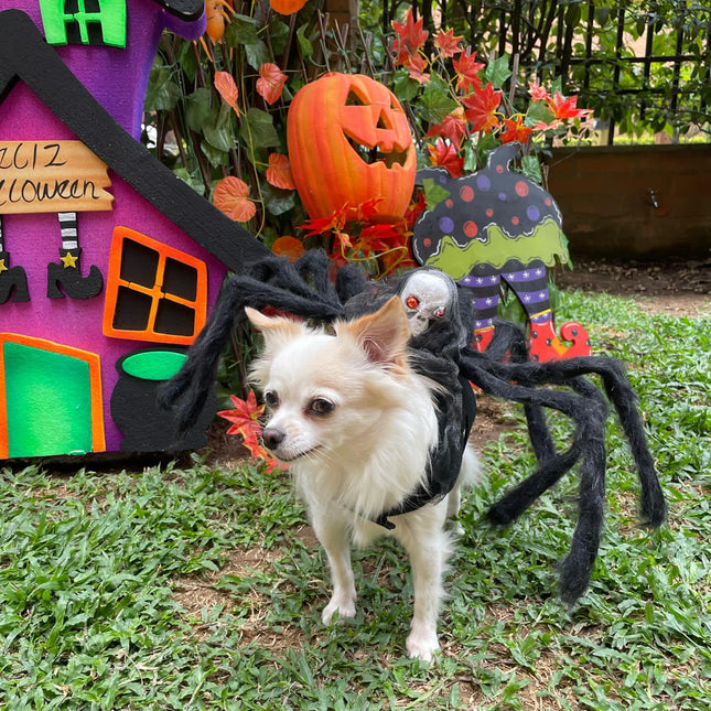 Araña