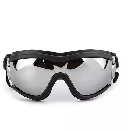 Gafas Goggles