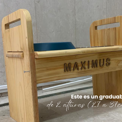 Graduable Shamel (Solo cachorros)