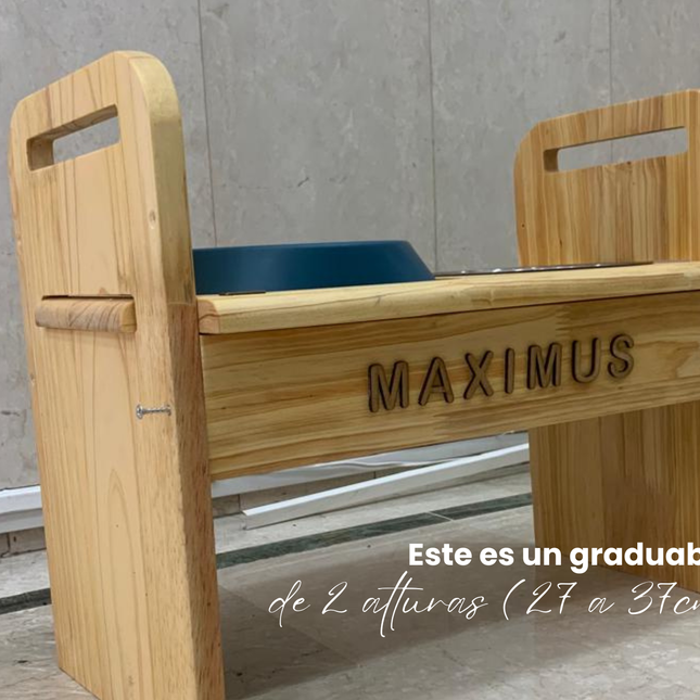 Graduable Shamel (Solo cachorros)