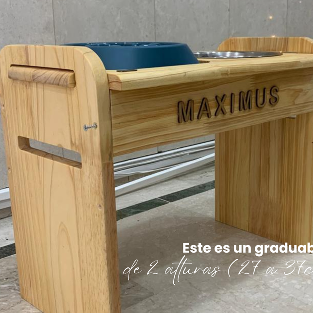 Graduable Shamel (Solo cachorros)