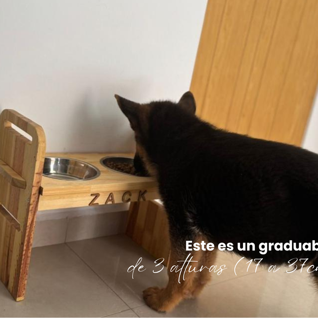 Graduable Acero (Solo cachorros)