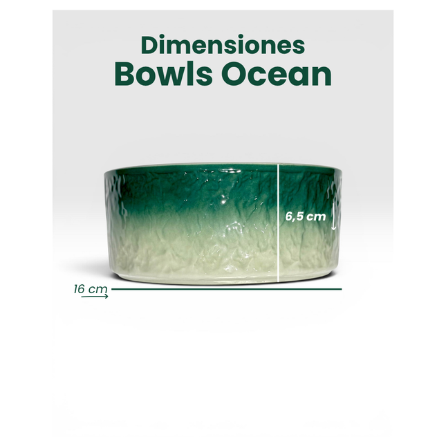 Bowl Ocean