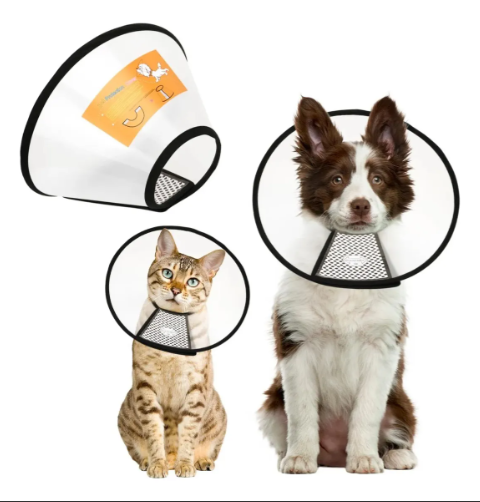 Collar isabelino Cono