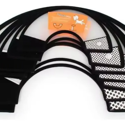 Collar isabelino Cono