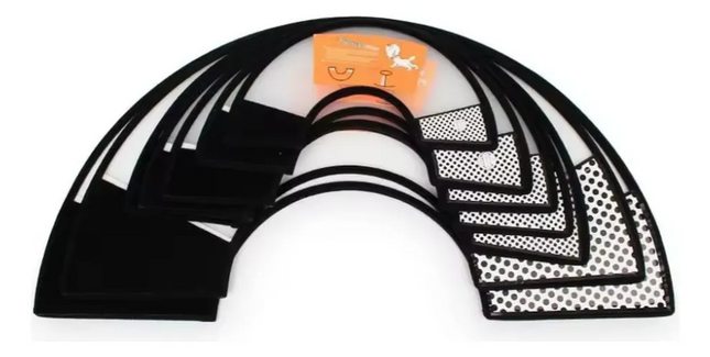 Collar isabelino Cono