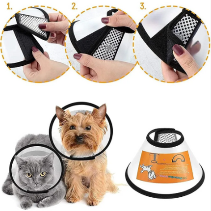 Collar isabelino Cono