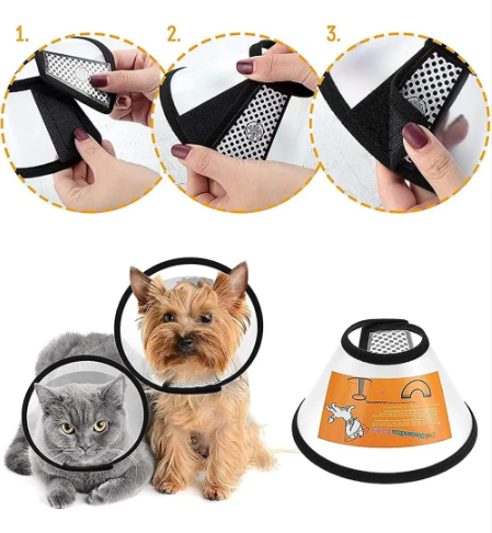 Collar isabelino Cono