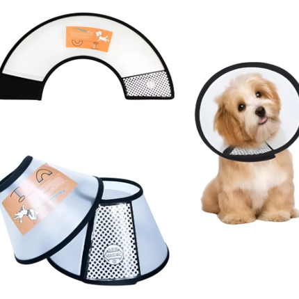 Collar isabelino Cono