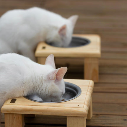 Individual recto gatuno