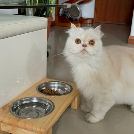 Comedero Acero Gatuno