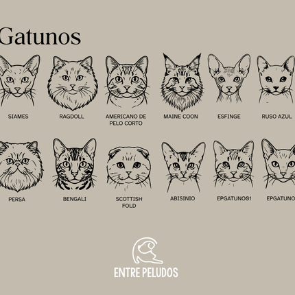 Placa de identificación ilustración