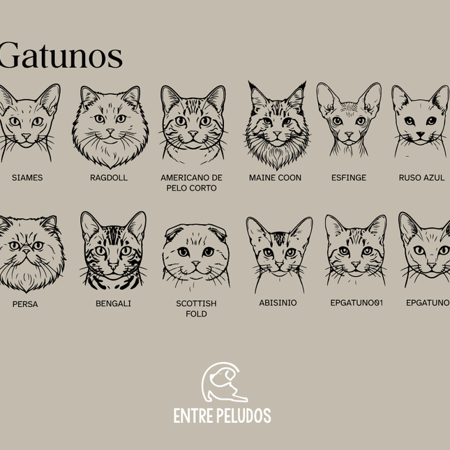 Placa de identificación ilustración