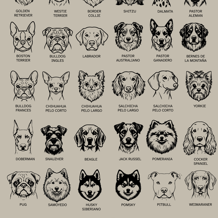 Placa de identificación ilustración