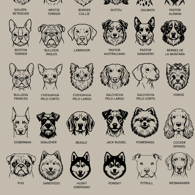 Placa de identificación ilustración
