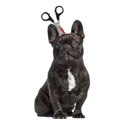 Accesorios cabeza