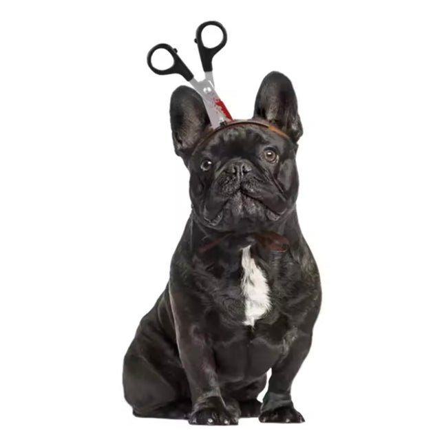 Accesorios cabeza