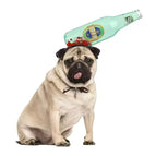 Cerveza
