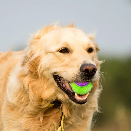 Pelota saltarina