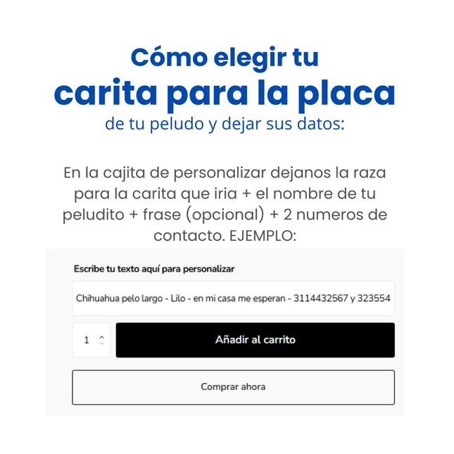 Placa de identificación ilustración