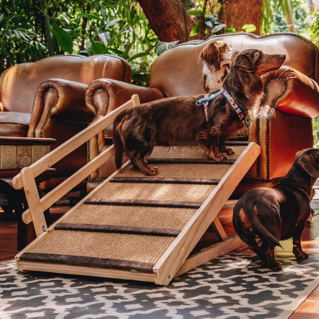 Rampa Antideslizante