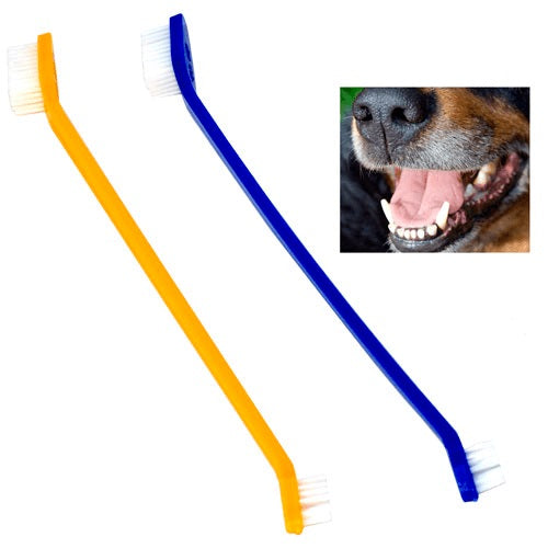 Set de Cepillos Dientes Largos