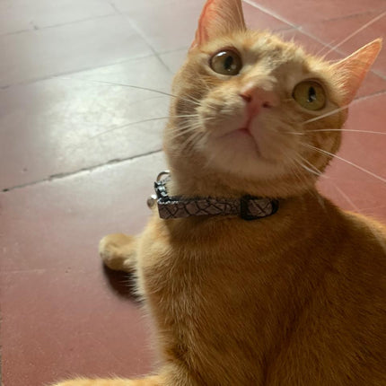 Collar Antiahogo Gatuno