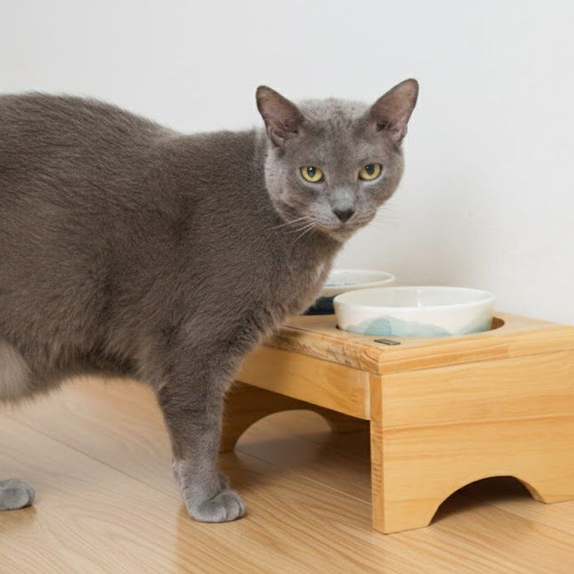 Comedero Gaia Gatuno