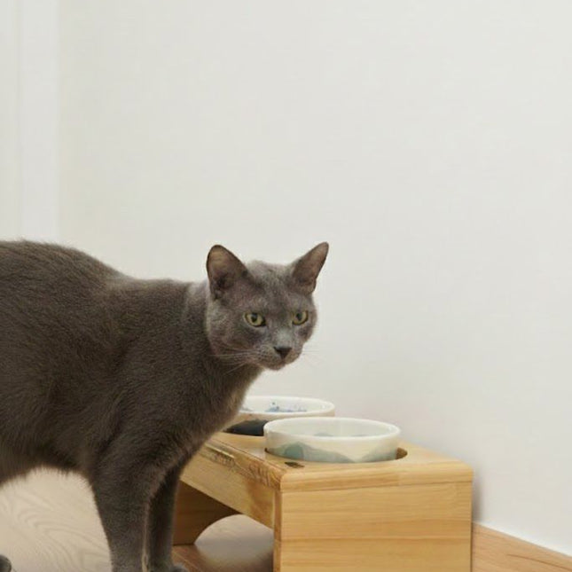 Comedero Gaia Gatuno