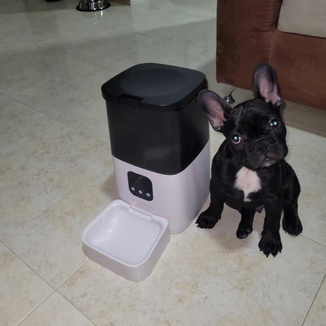 Dispensador automatico