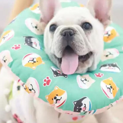 Collar isabelino Almohada