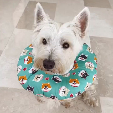 Collar isabelino Almohada