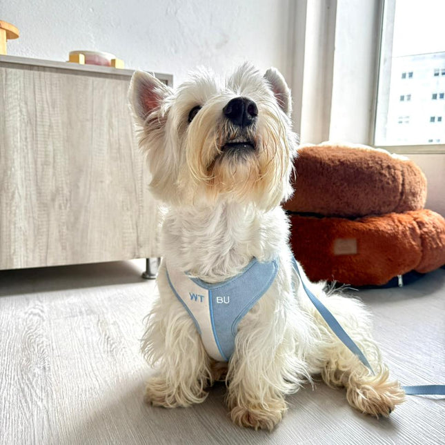 Arnés + Lazo Gamusa WTBU