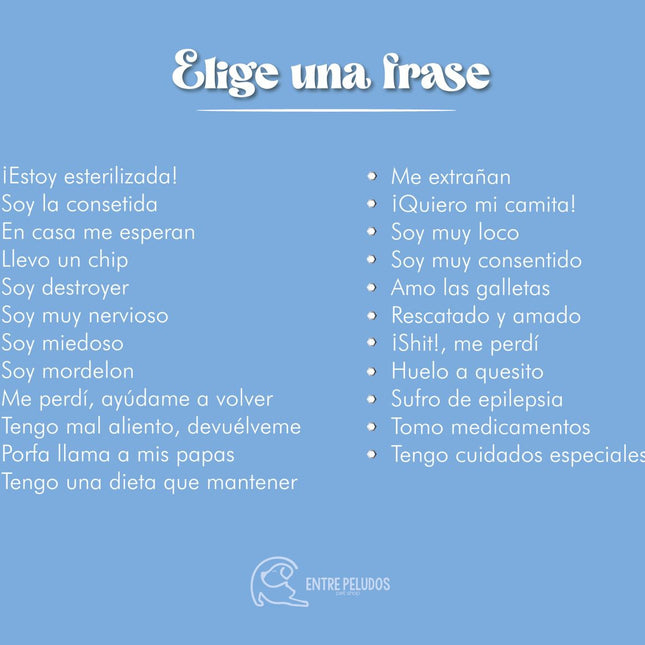 Placa de identificación