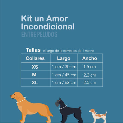 Set Rebeca (Collar + Correa)