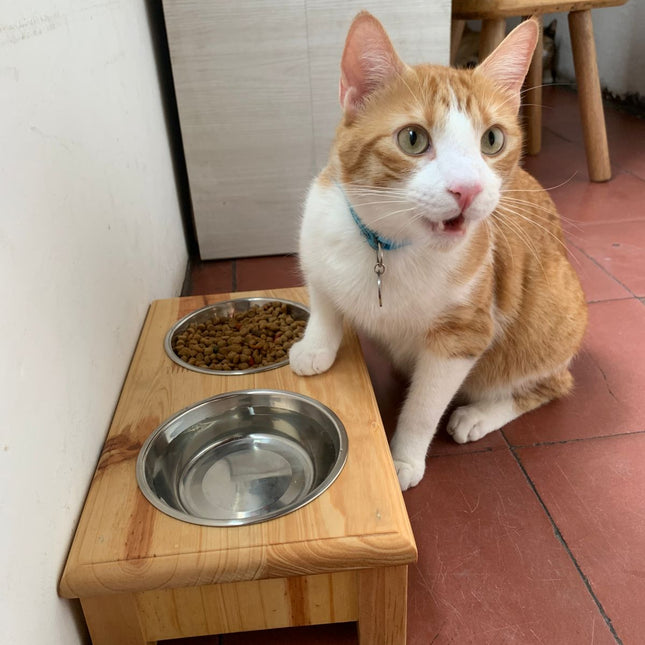 Comedero Acero Gatuno