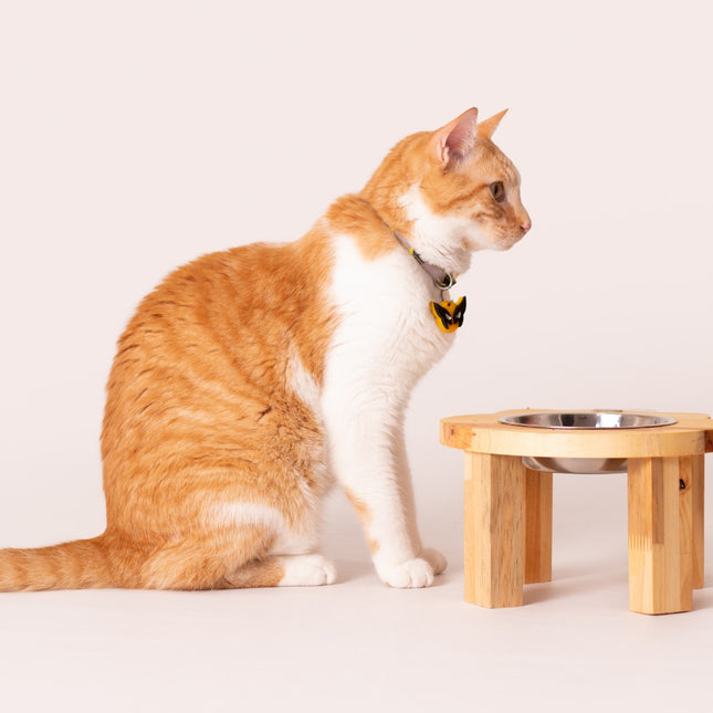 Individual Cara de Gato