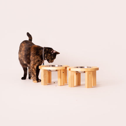 Individual Cara de Gato