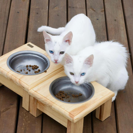 Individual recto gatuno