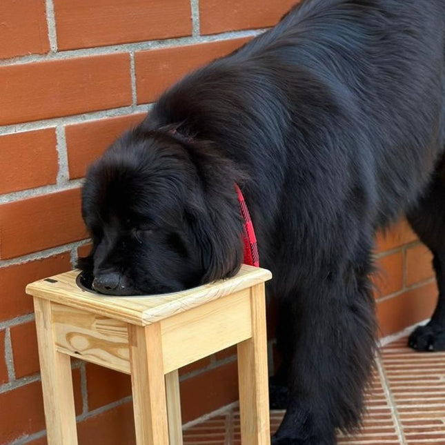 Comedero Individual Acero