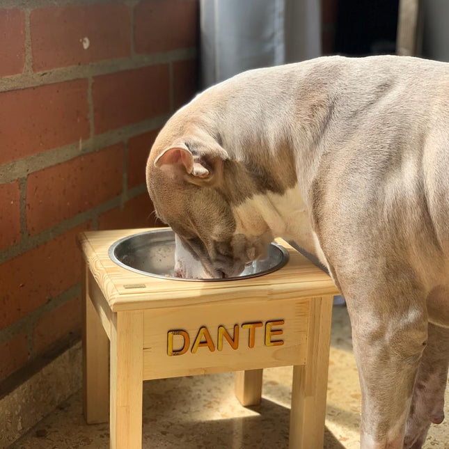 Comedero Individual Acero