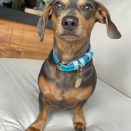 Collar Amelia