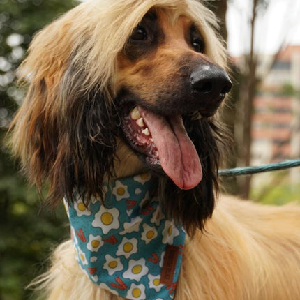 Pañoleta Huevos y Tocino